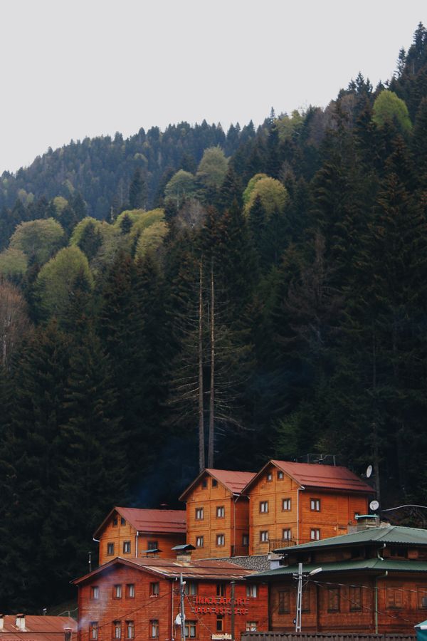eco cottage Georgia
